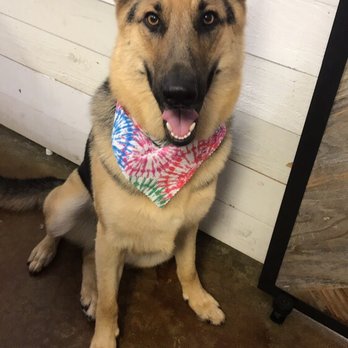Vista Pet Groomery - Pet Groomers Near Me - Vista, California Vista Pet Groomery - Pet Groomers Near Me - Vista, California