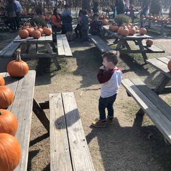 Old MacDonald's Farm - Venues & Event Spaces Near Me - Humble, Texas
