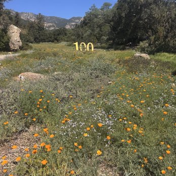 Santa Barbara Botanic Garden - Botanical Gardens Near Me - Santa Barbara, California Santa Barbara Botanic Garden - Botanical Gardens Near Me - Santa Barbara, California
