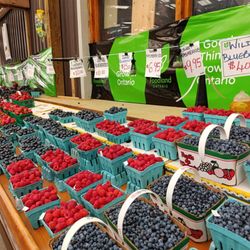 Rock Garden Farms