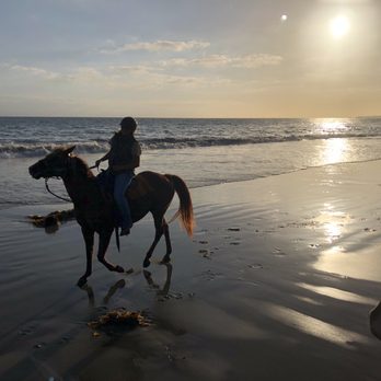 Santa Barbara Beach Horseback Rides - Tours Near Me