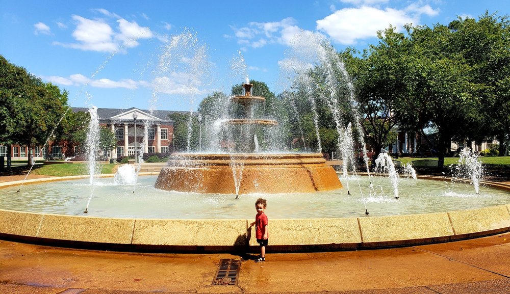 Social spots from Wilson Park