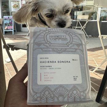 Regent Coffee - Good beans - Coffee & Tea Near Me - Glendale, California Regent Coffee - Good beans - Coffee & Tea Near Me - Glendale, California