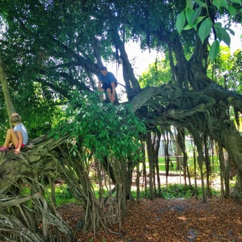 Fig Tree Park - Climbing - Parks Near Me - Plantation, Florida