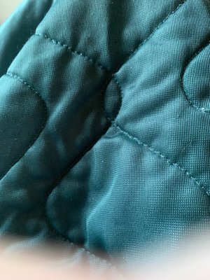 The Fresh Market by null