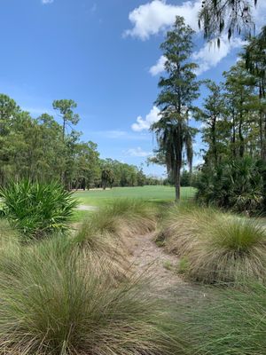 Tiburón Golf Club by null