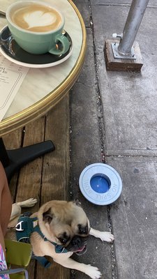 Jack's Wife Freda by null