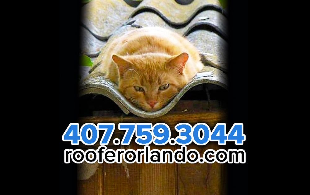 Slide of Roofer Orlando