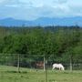 Photo of L & R Ranch