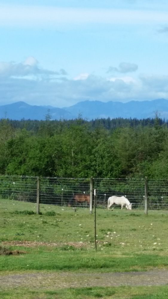 L & R Ranch - equestrian in Bremerton, WA