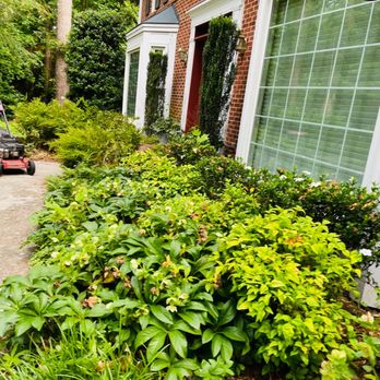 Northern Seasons Landscaping - Before pruning/clean up and edging - Lawn Services Near Me Northern Seasons Landscaping - Before pruning/clean up and edging - Lawn Services Near Me