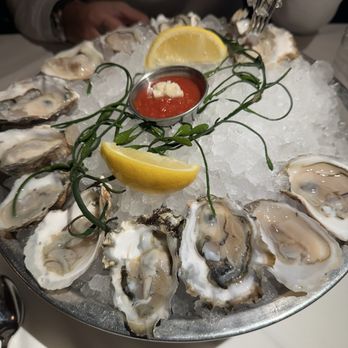 Shaw's Crab House - Oysters Full Dozen - Seafood Near Me - Chicago, Illinois Shaw's Crab House - Oysters Full Dozen - Seafood Near Me - Chicago, Illinois