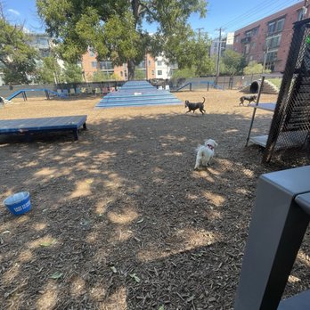 Hops & Hounds - Dog park - Dog Parks Near Me - San Antonio, Texas