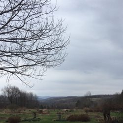 Berry Hill Farm