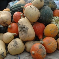 Stoke Newington Farmers' Market - Autumn colours at the market