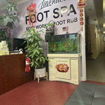 Lavender Foot Spa Q - Massage Therapy Near Me - Amityville, New York Lavender Foot Spa Q - Massage Therapy Near Me - Amityville, New York