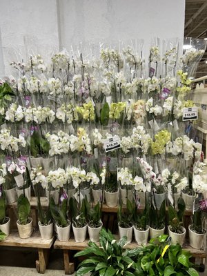 Robért Fresh Market Marigny by null