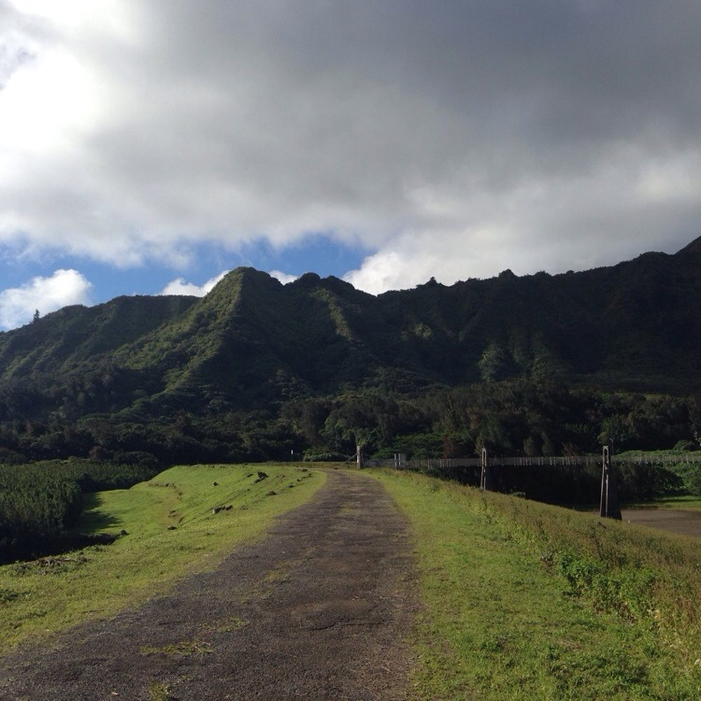 Lulumahu Falls - Hiking Near Me - Honolulu, Hawaii Lulumahu Falls - Hiking Near Me - Honolulu, Hawaii