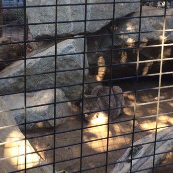 Wildlife Learning Center - Zoos Near Me - Sylmar, California