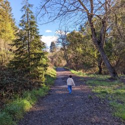 Sunset Beach River Park - This is what most of the trail looks like, you are pretty far from water