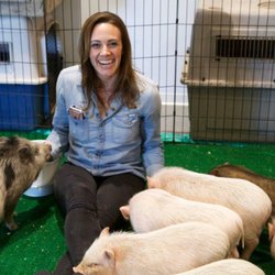 Piglets at Quora. How can you not squeal with delight?