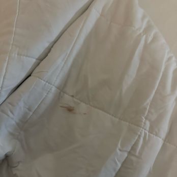 Hampton Inn Chester South - Stained comforter - Hotels Near Me - Chester, Virginia