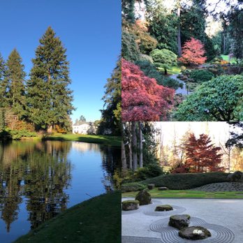 Bloedel Reserve - Beautiful transition to fall. - Parks Near Me - Bainbridge Island, Washington Bloedel Reserve - Beautiful transition to fall. - Parks Near Me - Bainbridge Island, Washington