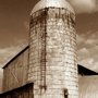 Kubecka Farms