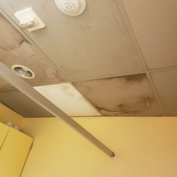 QDOBA Mexican Eats - Molding looking ceilings - Mexican Near Me - Littleton, Colorado QDOBA Mexican Eats - Molding looking ceilings - Mexican Near Me - Littleton, Colorado
