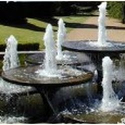 Pond Pro Shop - These small statues can be elegant, practical or whimsical and can be anything from frogs, fish, turtles, elves, angels or gargoyles.