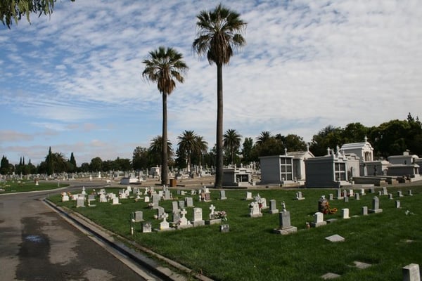 Calvary Catholic Cemetery - Updated May 2026 - 42 Photos & 35 Reviews