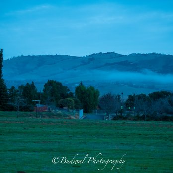 Montgomery Hill Park - D850 with 80-400mm f/4.5-5.6 Montgomery Hill Park @Evergreen Valley College San Jose - Hiking Near Me - San Jose, California Montgomery Hill Park - D850 with 80-400mm f/4.5-5.6 Montgomery Hill Park @Evergreen Valley College San Jose - Hiking Near Me - San Jose, California
