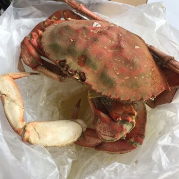 Quality Seafood - Crab (steamed & cooked) - Seafood Markets Near Me - Redondo Beach, California Quality Seafood - Crab (steamed & cooked) - Seafood Markets Near Me - Redondo Beach, California