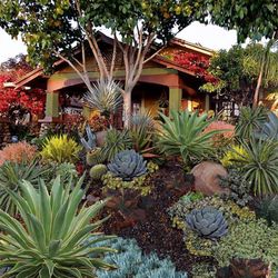 Edify Landscape Design