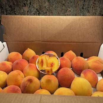 Sodaro Orchards - peaches in a cardboard box - Farmers Market Near Me - Marysville, California Sodaro Orchards - peaches in a cardboard box - Farmers Market Near Me - Marysville, California