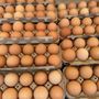 Photo of Melrose Place Farmer's Market