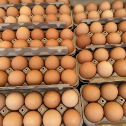 Melrose Place Farmer's Market - Eggs