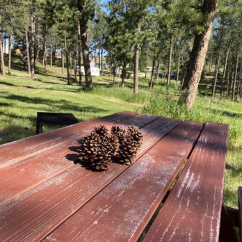 Echo Valley Park Campground - Pine cone centerpiece - RV Parks Near Me - Custer, South Dakota Echo Valley Park Campground - Pine cone centerpiece - RV Parks Near Me - Custer, South Dakota