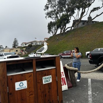 Giovanni's Fish Market - Seafood Near Me - Morro Bay, California
