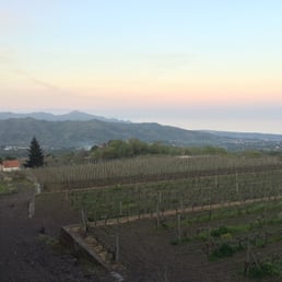 View from the winery View from the winery