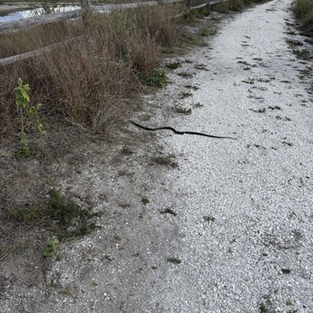 Cockroach Bay Nature Preserve - Parks Near Me - Ruskin, Florida
