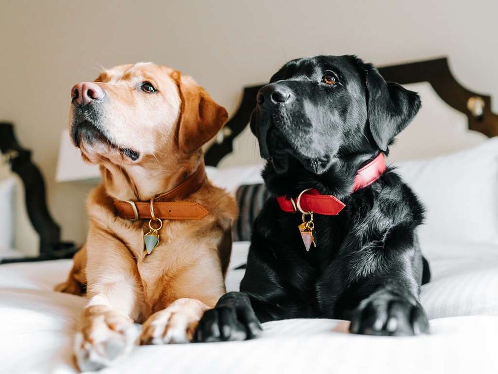 Fairmont Hotel Vancouver