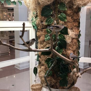 Oakbrook Care - They have information posted nearby the aviary to tell you about the birds - Occupational Therapy Near Me - Hinsdale, Illinois Oakbrook Care - They have information posted nearby the aviary to tell you about the birds - Occupational Therapy Near Me - Hinsdale, Illinois
