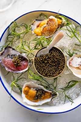 Crudo Ceviche & Oyster Bar by null