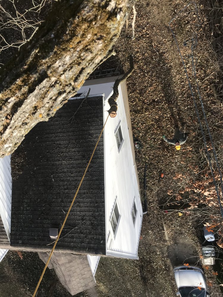 NEWF & TREES Updated September 2024 14 Photos Madison, Wisconsin Tree Services Phone