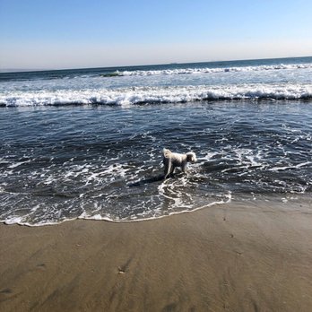 Coronado Dog Beach - Beaches Near Me - Coronado, California