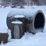 Photo of Bears Playgrounds