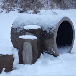 Bears Playgrounds