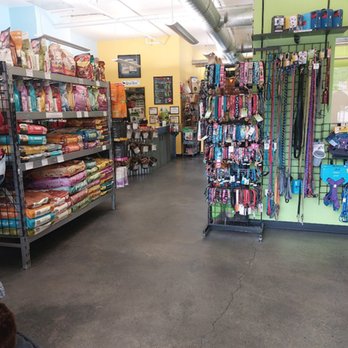 Dogma - Pet Services Near Me - Evergreen, Colorado