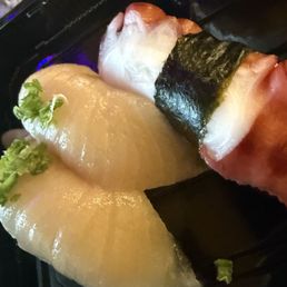 Yellow tail and octopus Yellow tail and octopus